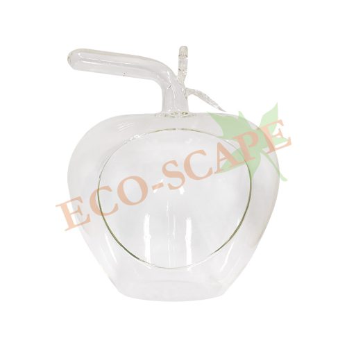 Apple Glass-0